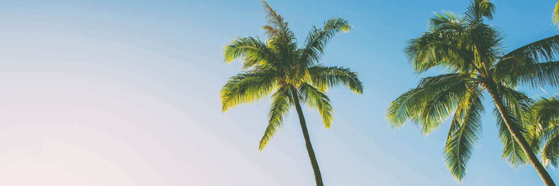 Bone Grafting | Oral Surgeon