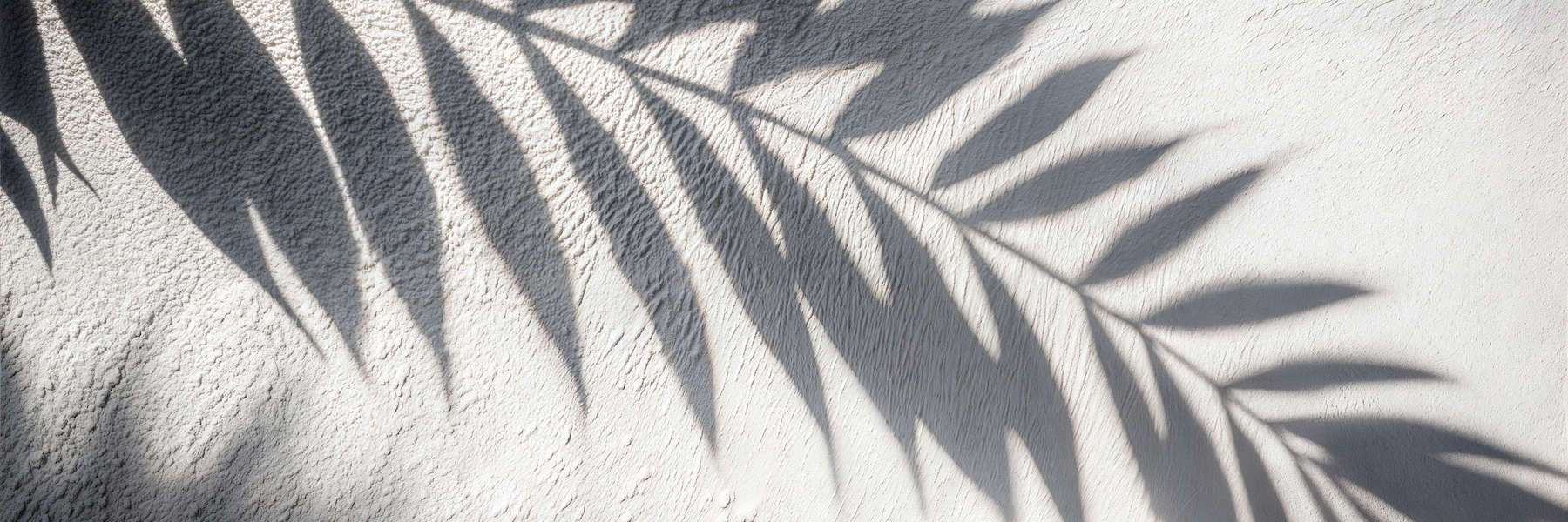 Dental Implants | Oral Surgeon