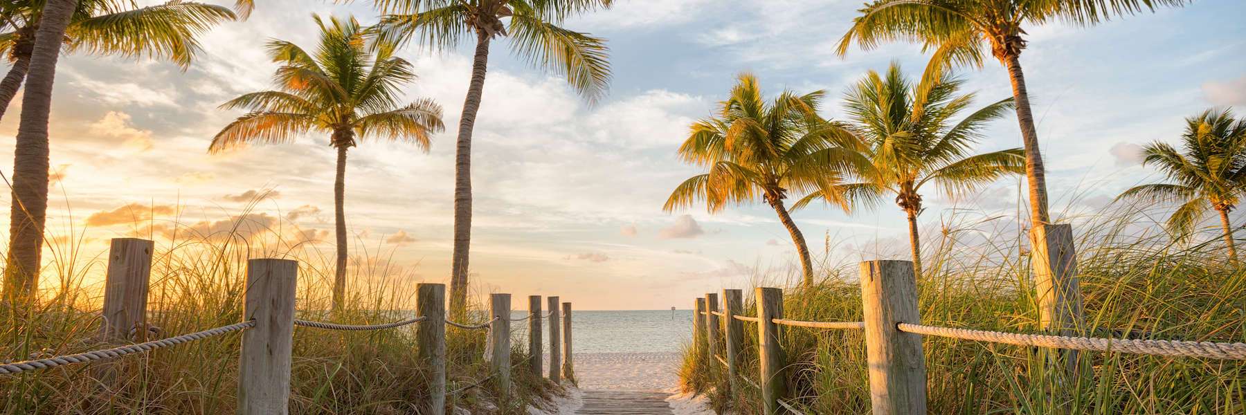 Tooth Extractions | Oral Surgeon